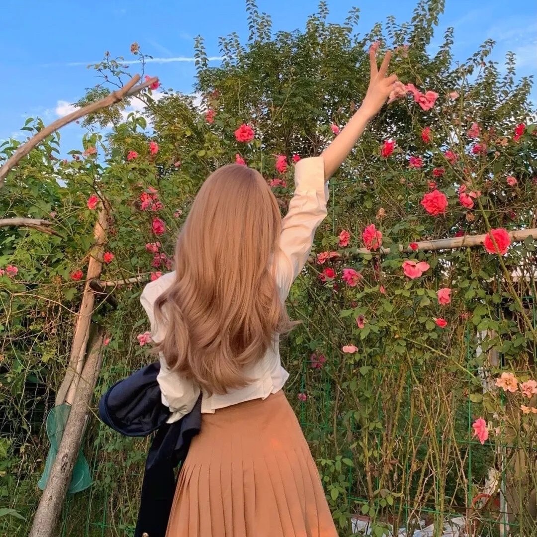 莲花楼
